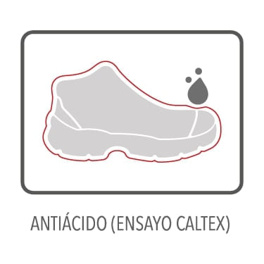 ANTIÁCIDO (ENSAYO CALTEX)